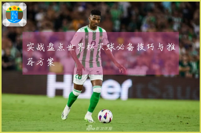 实战盘点世界杯买球必备技巧与推荐方案