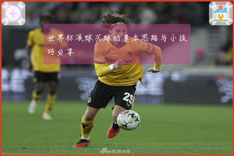 世界杯滚球买球的基本思路与小技巧分享