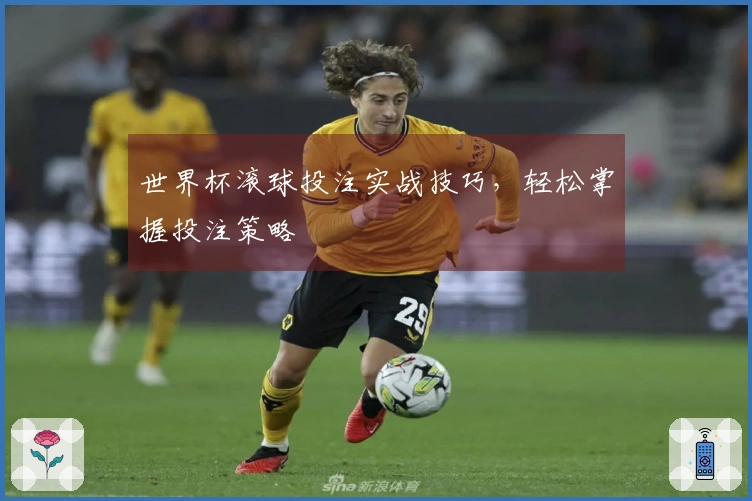 世界杯滚球投注实战技巧，轻松掌握投注策略