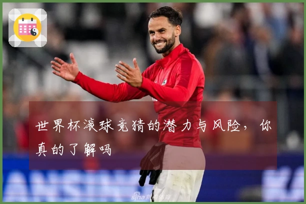 世界杯滚球竞猜的潜力与风险，你真的了解吗