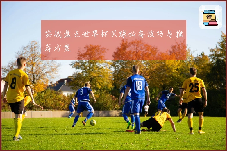 实战盘点世界杯买球必备技巧与推荐方案