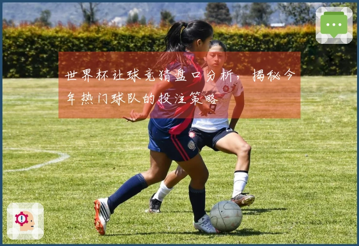 世界杯让球竞猜盘口分析，揭秘今年热门球队的投注策略