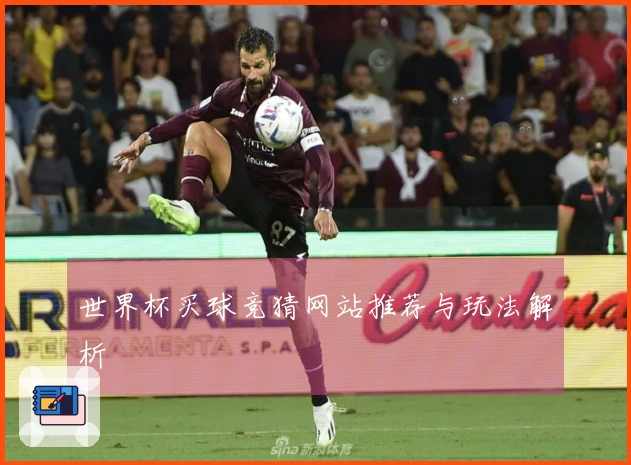 世界杯买球竞猜网站推荐与玩法解析