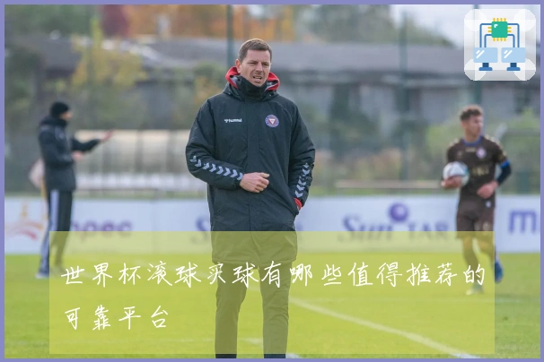世界杯滚球买球有哪些值得推荐的可靠平台